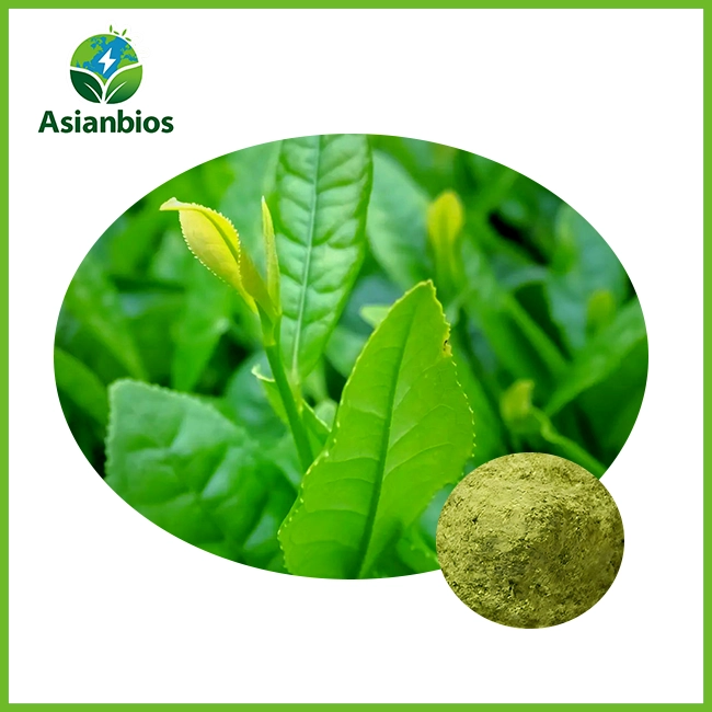 Food Grade Matcha Powder